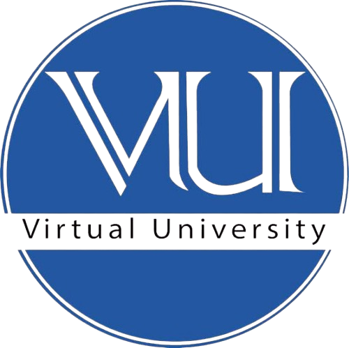 Virtual University